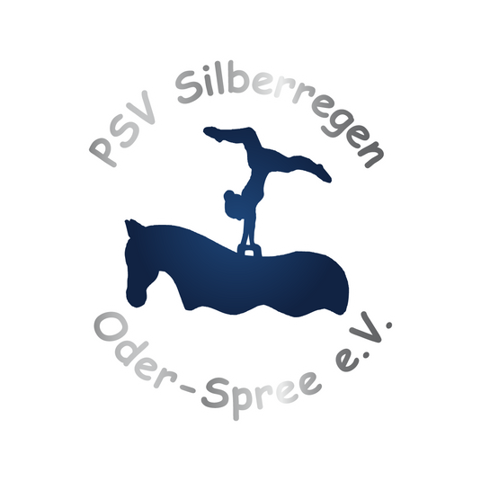  - PSV Silberregen - shirtidee.shop -  -  -  -  - 